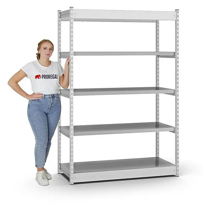 Proregal Schwerlastregal MAGNUS Vierkant-Profil Stecksystem - H x B x T: 200 x 132,5 x 50 cm, Traglast pro Boden: 200 kg, Anzahl Böden: 5 Stk., Stecken, Lichtgrau/Verzinkt