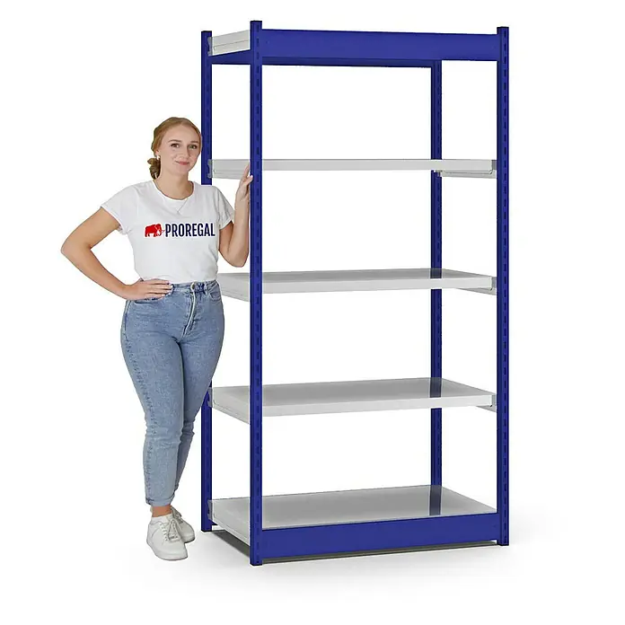 Proregal Schwerlastregal MAGNUS Vierkant-Profil Stecksystem - H x B x T: 200 x 102,5 x 50 cm, Traglast pro Boden: 200 kg, Anzahl Böden: 5 Stk., Stecken, Enzianblau/Verzinkt