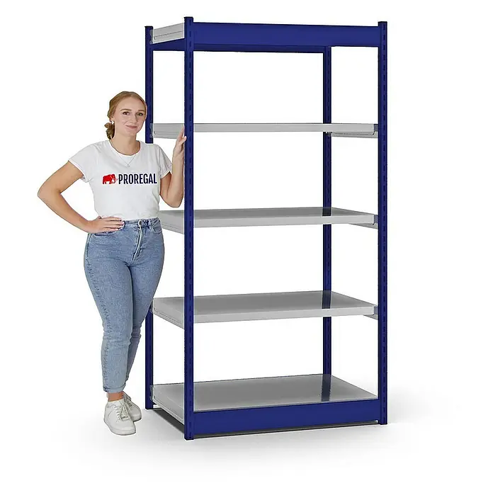 Proregal Schwerlastregal MAGNUS Vierkant-Profil Stecksystem - H x B x T: 200 x 102,5 x 60 cm, Traglast pro Boden: 200 kg, Anzahl Böden: 5 Stk., Stecken, Enzianblau/Verzinkt
