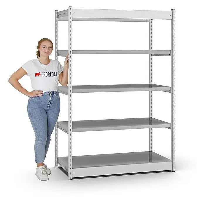 Proregal Schwerlastregal MAGNUS Vierkant-Profil Stecksystem - H x B x T: 200 x 132,5 x 60 cm, Traglast pro Boden: 200 kg, Anzahl Böden: 5 Stk., Stecken, Lichtgrau/Verzinkt