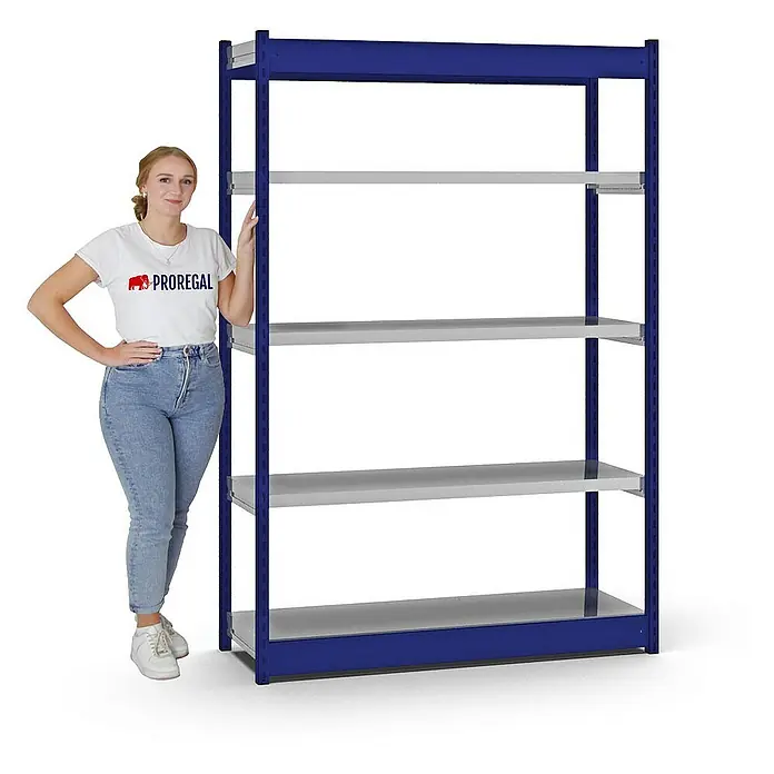 Proregal Schwerlastregal MAGNUS Vierkant-Profil Stecksystem - H x B x T: 200 x 132,5 x 40 cm, Traglast pro Boden: 200 kg, Anzahl Böden: 5 Stk., Stecken, Enzianblau/Verzinkt