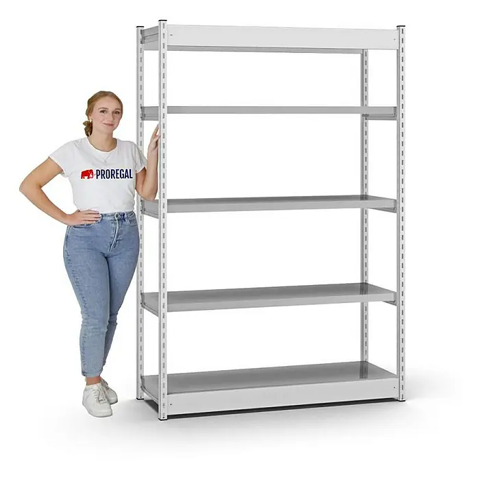 Proregal Schwerlastregal MAGNUS Vierkant-Profil Stecksystem - H x B x T: 200 x 132,5 x 40 cm, Traglast pro Boden: 200 kg, Anzahl Böden: 5 Stk., Stecken, Lichtgrau/Verzinkt