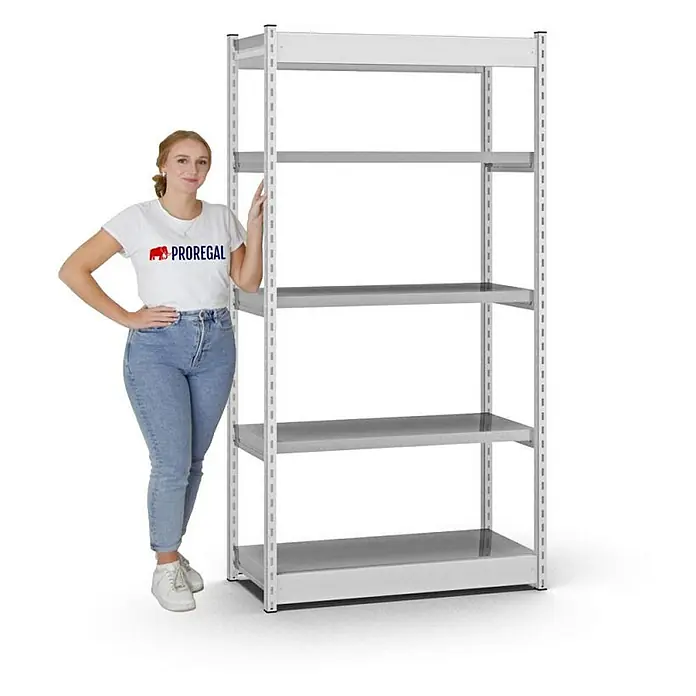 Proregal Schwerlastregal MAGNUS Vierkant-Profil Stecksystem - H x B x T: 200 x 102,5 x 40 cm, Traglast pro Boden: 200 kg, Anzahl Böden: 5 Stk., Stecken, Lichtgrau/Verzinkt