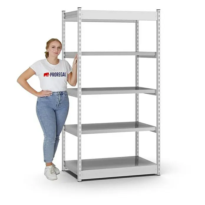 Proregal Schwerlastregal MAGNUS Vierkant-Profil Stecksystem - H x B x T: 200 x 102,5 x 50 cm, Traglast pro Boden: 200 kg, Anzahl Böden: 5 Stk., Stecken, Lichtgrau/Verzinkt