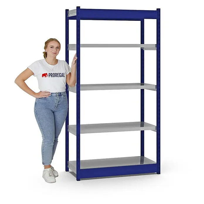Proregal Schwerlastregal MAGNUS Vierkant-Profil Stecksystem - H x B x T: 200 x 102,5 x 40 cm, Traglast pro Boden: 200 kg, Anzahl Böden: 5 Stk., Stecken, Enzianblau/Verzinkt