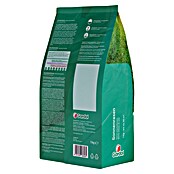 Gardol Rasensamen Sonnenrasen (1 kg, Saatgut ausreichend für: 40 m²) | BAUHAUS