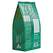 Gardol Zierrasensamen (1 kg, Saatgut ausreichend für: 50 m²) | BAUHAUS