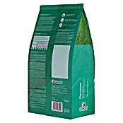 Gardol Zierrasensamen (1 kg, Saatgut ausreichend für: 50 m²) | BAUHAUS