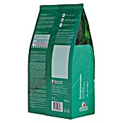 Gardol Schattenrasensamen (1 kg, Saatgut ausreichend für: 50 m²) | BAUHAUS