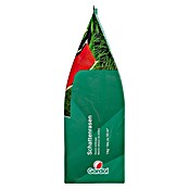 Gardol Schattenrasensamen (1 kg, Saatgut ausreichend für: 50 m²) | BAUHAUS