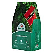 Gardol Schattenrasensamen (1 kg, Saatgut ausreichend für: 50 m²) | BAUHAUS