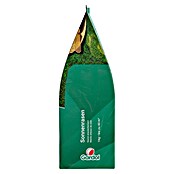 Gardol Rasensamen Sonnenrasen (1 kg, Saatgut ausreichend für: 40 m²) | BAUHAUS