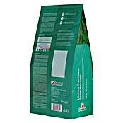 Gardol Nachsaat-Rasen Schatten (2,5 kg, Saatgut ausreichend für: 150 m²) | BAUHAUS