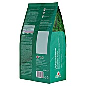 Gardol Nachsaat-Rasen Schatten (1,25 kg, Saatgut ausreichend für: 75 m²) | BAUHAUS