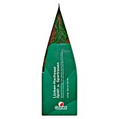 Gardol Nachsaat-Rasen Spiel- & Sprot (2,5 kg, Saatgut ausreichend für: 150 m²) | BAUHAUS