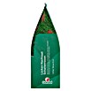 Gardol Nachsaat-Rasen Schatten (1,25 kg, Saatgut ausreichend für: 75 m²) | BAUHAUS