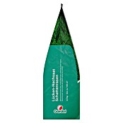 Gardol Nachsaat-Rasen Schatten (2,5 kg, Saatgut ausreichend für: 150 m²) | BAUHAUS