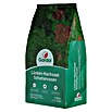 Gardol Nachsaat-Rasen Schatten (1,25 kg, Saatgut ausreichend für: 75 m²) | BAUHAUS