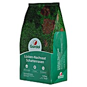 Gardol Nachsaat-Rasen Schatten (1,25 kg, Saatgut ausreichend für: 75 m²) | BAUHAUS