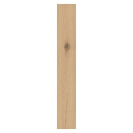 LOGOCLIC Laminatmuster Silentos Eiche Forli (296 x 195 x 1 mm, Landhausdiele)
