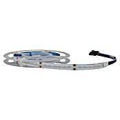 Ritter Leuchten Set LED trakov  (Dolžina: 3 m, Barva svetlobe: RGBW, 18 W, 110 lm, 230 V) | LED trakovi | Dekorativna razsvetljava | Elektro in svetila | Izdelki | BAUHAUS