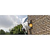 Imou Bewakingscamera AOV PT (5 megapixel, Nachtzichtbereik: 36 m, Optisch alarm) | BAUHAUS