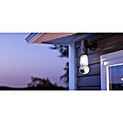Imou Bewakingscamera Bulb Cam (Ø x h: 37,5 x 175 mm, Nachtzichtbereik: 25 m) | BAUHAUS
