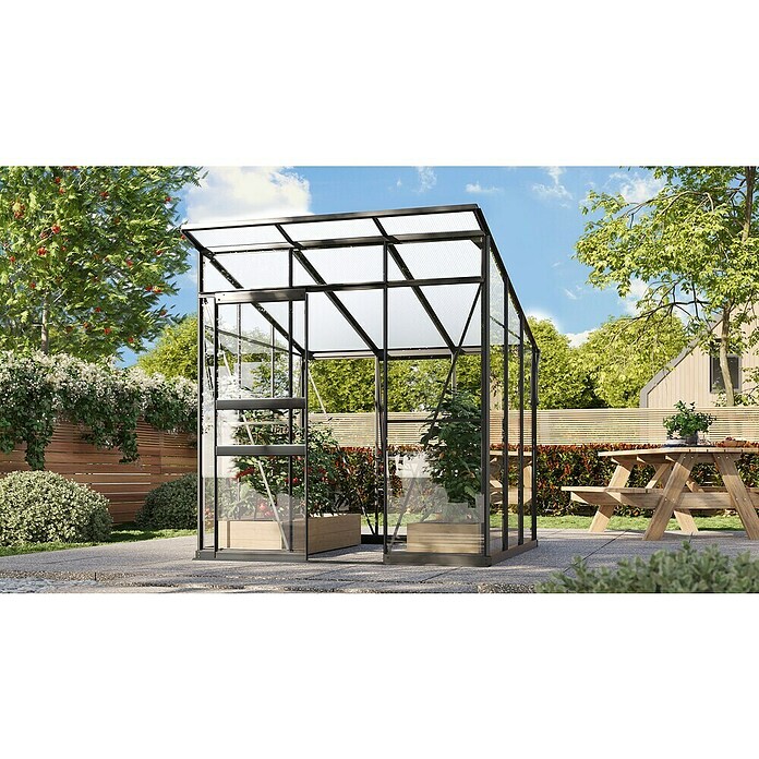 Vitavia Gewächshaus Fokus Glas (Material Seitenwand: Glas, Außenmaß inkl. Dachüberstand (B x T): 2 294 x 1 958 cm, Schwarz) | BAUHAUS