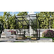 Vitavia Gewächshaus Fokus Glas (Material Seitenwand: Glas, Außenmaß inkl. Dachüberstand (B x T): 2 294 x 1 958 cm, Schwarz) | BAUHAUS