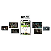 Imou Bewakingscamera Cruiser Dual 2 Pro (3 megapixel, Nachtzichtbereik: 30 m, Alarmsignaal: 110 dB) | BAUHAUS