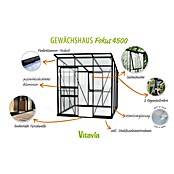 Vitavia Gewächshaus Fokus Glas (Material Seitenwand: Glas, Außenmaß inkl. Dachüberstand (B x T): 2 294 x 1 958 cm, Schwarz) | BAUHAUS
