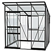 Vitavia Gewächshaus Fokus Glas (Material Seitenwand: Glas, Außenmaß inkl. Dachüberstand (B x T): 2 294 x 1 958 cm, Schwarz) | BAUHAUS
