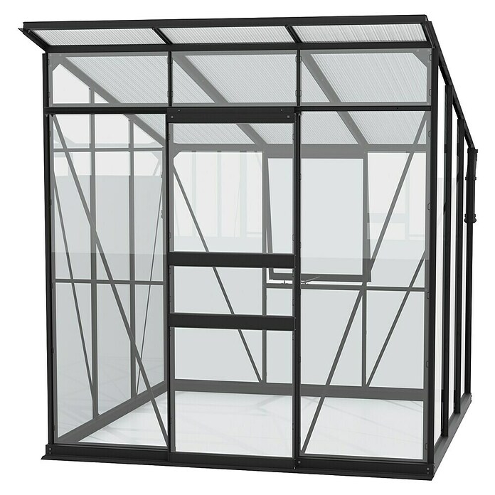 Vitavia Gewächshaus Fokus Glas (Material Seitenwand: Glas, Außenmaß inkl. Dachüberstand (B x T): 2 294 x 1 958 cm, Schwarz) | BAUHAUS