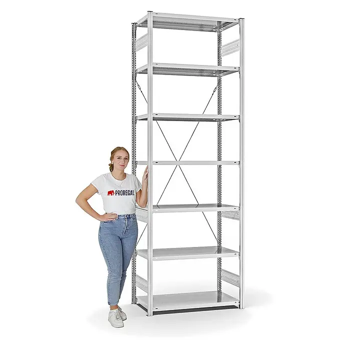 Proregal Metallregal MAGNUS Stecksystem - H x B x T: 300 x 100 x 50 cm, Traglast pro Boden: 140 kg, Anzahl Böden: 7 Stk., Stecken, Lichtgrau
