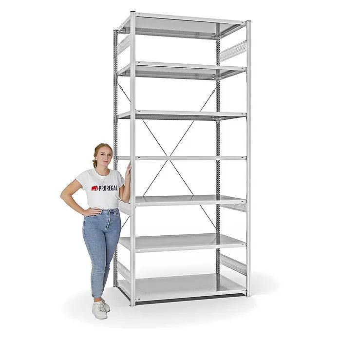 Proregal Metallregal MAGNUS Stecksystem - H x B x T: 300 x 130 x 80 cm, Traglast pro Boden: 190 kg, Anzahl Böden: 7 Stk., Stecken, Lichtgrau