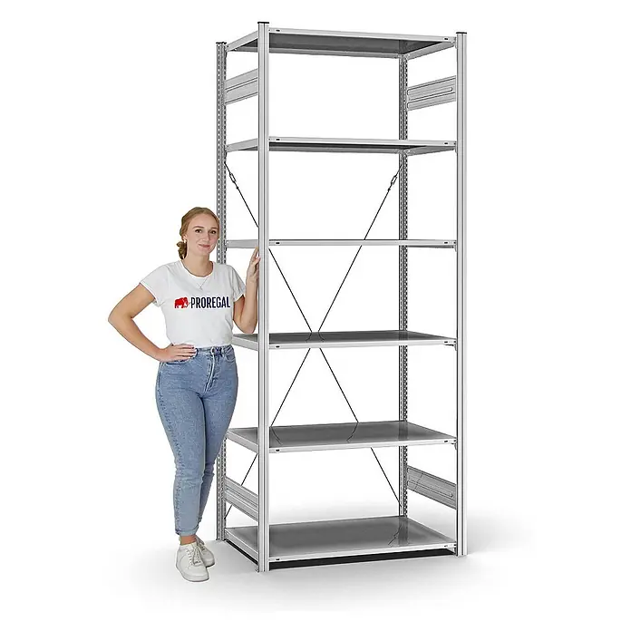 Proregal Metallregal MAGNUS Stecksystem - H x B x T: 250 x 100 x 60 cm, Traglast pro Boden: 125 kg, Anzahl Böden: 6 Stk., Stecken, Verzinkt