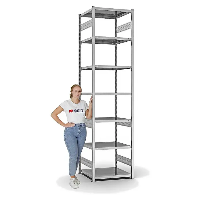 Proregal Metallregal MAGNUS Stecksystem - H x B x T: 300 x 75 x 60 cm, Traglast pro Boden: 140 kg, Anzahl Böden: 7 Stk., Stecken, Verzinkt