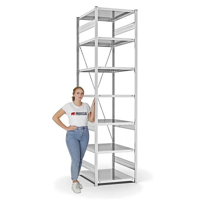 Proregal Metallregal MAGNUS Stecksystem - H x B x T: 300 x 75 x 80 cm, Traglast pro Boden: 130 kg, Anzahl Böden: 7 Stk., Stecken, Lichtgrau