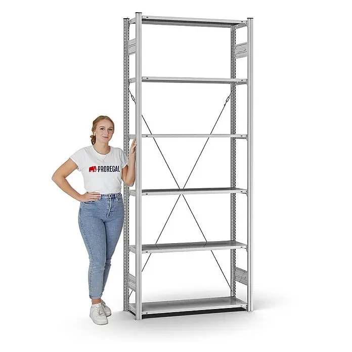 Proregal Metallregal MAGNUS Stecksystem - H x B x T: 250 x 100 x 30 cm, Traglast pro Boden: 125 kg, Anzahl Böden: 6 Stk., Stecken, Verzinkt
