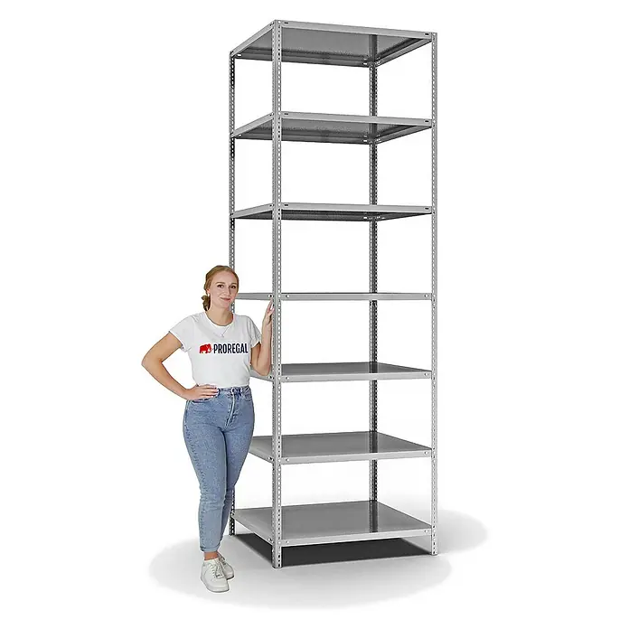 Proregal Metallregal MAGNUS Schraubsystem - H x B x T: 300 x 100 x 80 cm, Traglast pro Boden: 125 kg, Anzahl Böden: 7 Stk., Schrauben, Verzinkt