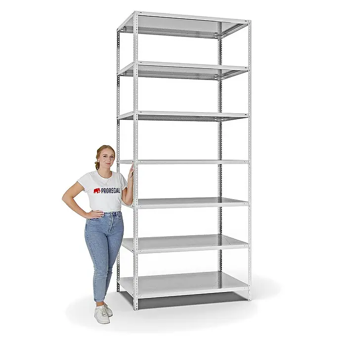 Proregal Metallregal MAGNUS Schraubsystem - H x B x T: 300 x 130 x 80 cm, Traglast pro Boden: 125 kg, Anzahl Böden: 7 Stk., Schrauben, Lichtgrau