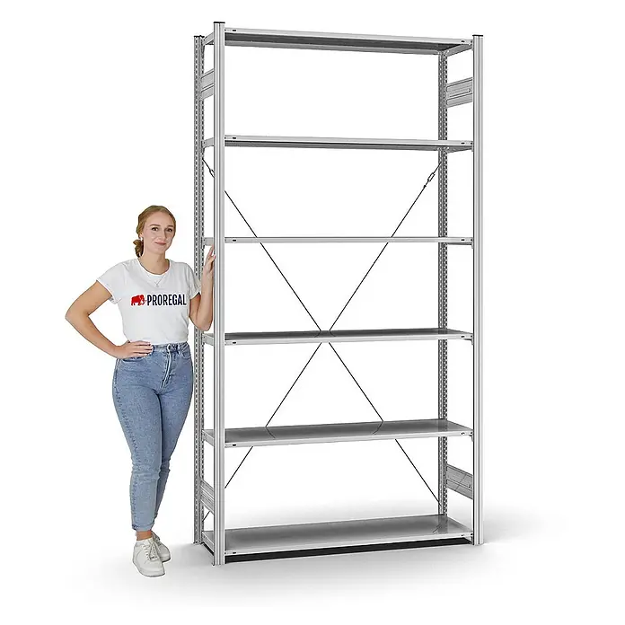 Proregal Metallregal MAGNUS Stecksystem - H x B x T: 250 x 130 x 40 cm, Traglast pro Boden: 95 kg, Anzahl Böden: 6 Stk., Stecken, Verzinkt