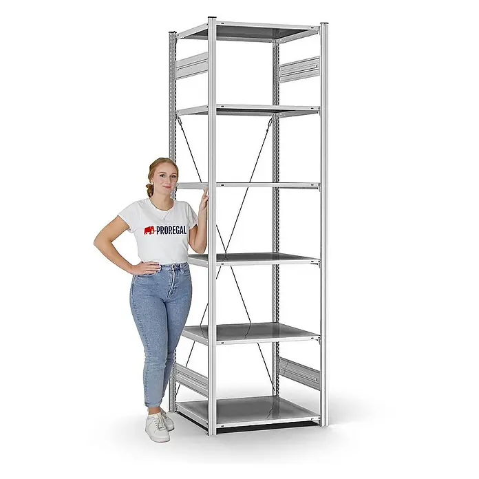 Proregal Metallregal MAGNUS Stecksystem - H x B x T: 250 x 75 x 60 cm, Traglast pro Boden: 125 kg, Anzahl Böden: 6 Stk., Stecken, Verzinkt