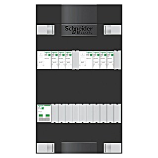 Schneider Electric Groepenkast (22 x 38 cm, Zwart)