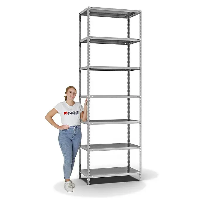 Proregal Metallregal MAGNUS Schraubsystem - H x B x T: 300 x 100 x 50 cm, Traglast pro Boden: 125 kg, Anzahl Böden: 7 Stk., Schrauben, Verzinkt