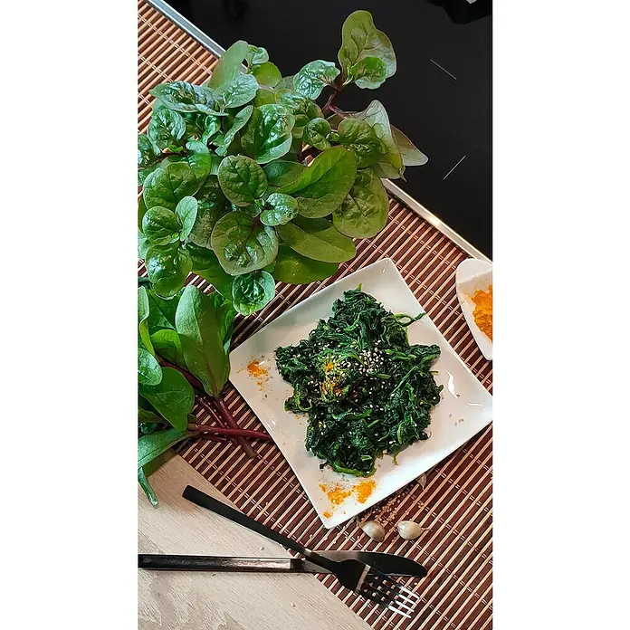 Blu Bio Malabar Spinat - Basella alba, Topfgröße: 12 cm - Nahaufnahme von Malabarspinatgericht, garniert mit Sesam und Kurkuma, neben frischen Blättern und Knoblauch auf einem Bambustablett.