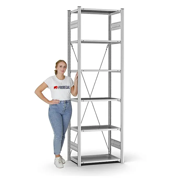 Proregal Metallregal MAGNUS Stecksystem - H x B x T: 250 x 75 x 40 cm, Traglast pro Boden: 125 kg, Anzahl Böden: 6 Stk., Stecken, Verzinkt