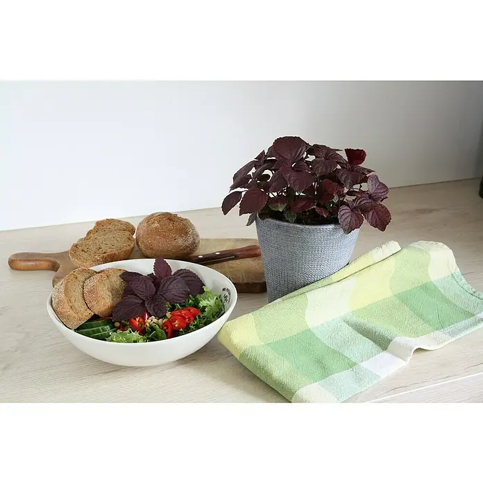 Blu Bio Perilla - Perilla frutescens, Topfgröße: 12 cm - Ein appetitliches Arrangement mit einem frischen Salat, knusprigem Brot und einer dekorativen Pflanze auf einer hellen Arbeitsfläche.