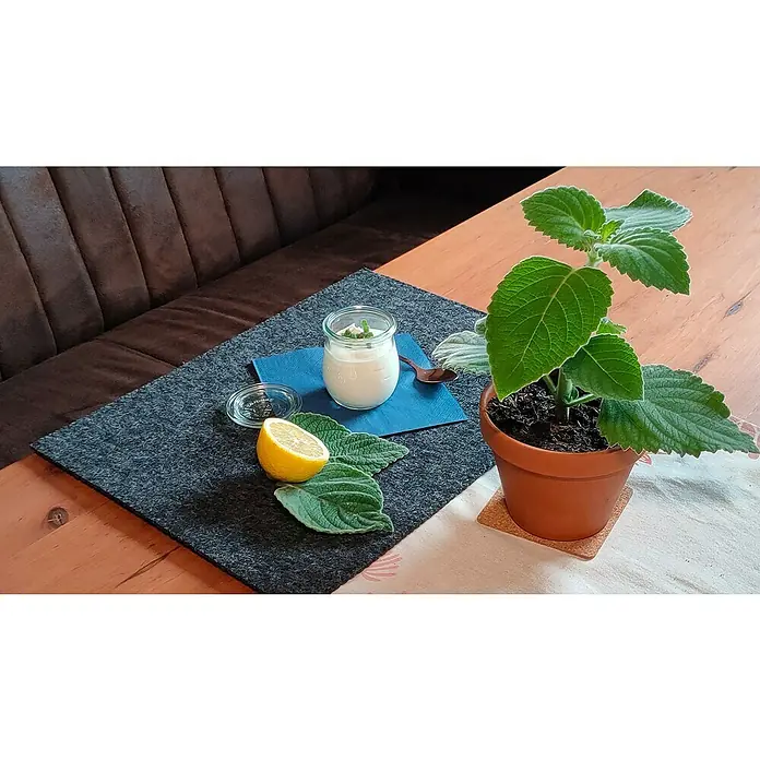 Blu Bio Australisches Zitronenblatt - Plectranthus species, Topfgröße: 12 cm - Ein Glas Dessert steht auf dem Tisch, dekoriert mit Minze, Zitrone und Blättern, neben einer Topfpflanze.