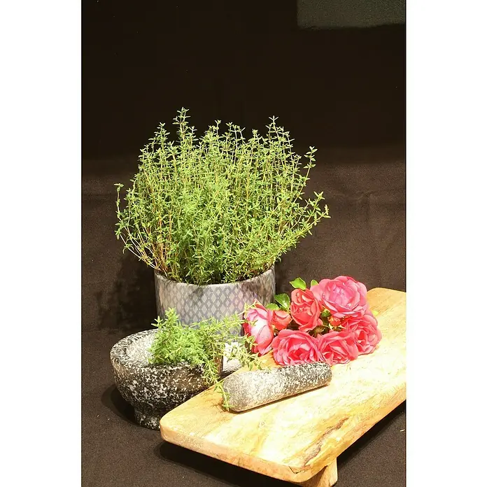 Blu Bio Rosenthymian - Thymus ssp., Topfgröße: 12 cm - Eine Nahaufnahme von Thymian im Topf, einem Mörser mit Stößel und einem Strauß rosa Rosen auf einem Holzbrett, vor dunklem Hintergrund.